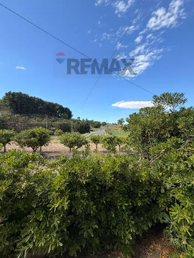 Appartamento in vendita a Serradifalco - foto 6