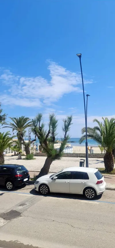 Appartamento in vendita a San Benedetto de... - foto 3