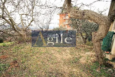 Appartamento in vendita a Montefiore dell'... - foto 9