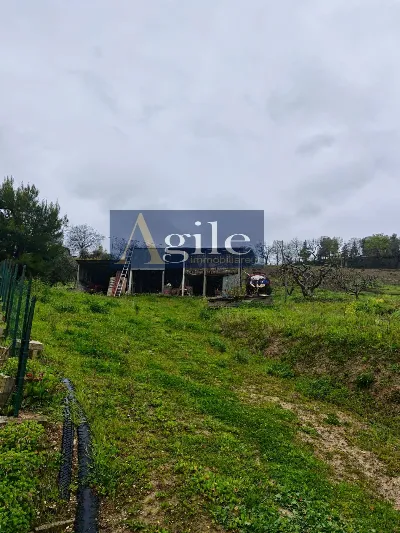 Appartamento in vendita a Offida - foto 8