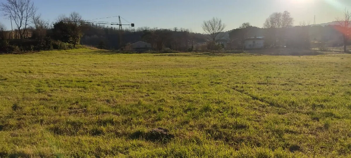 Appartamento in vendita a Fauglia - foto 2