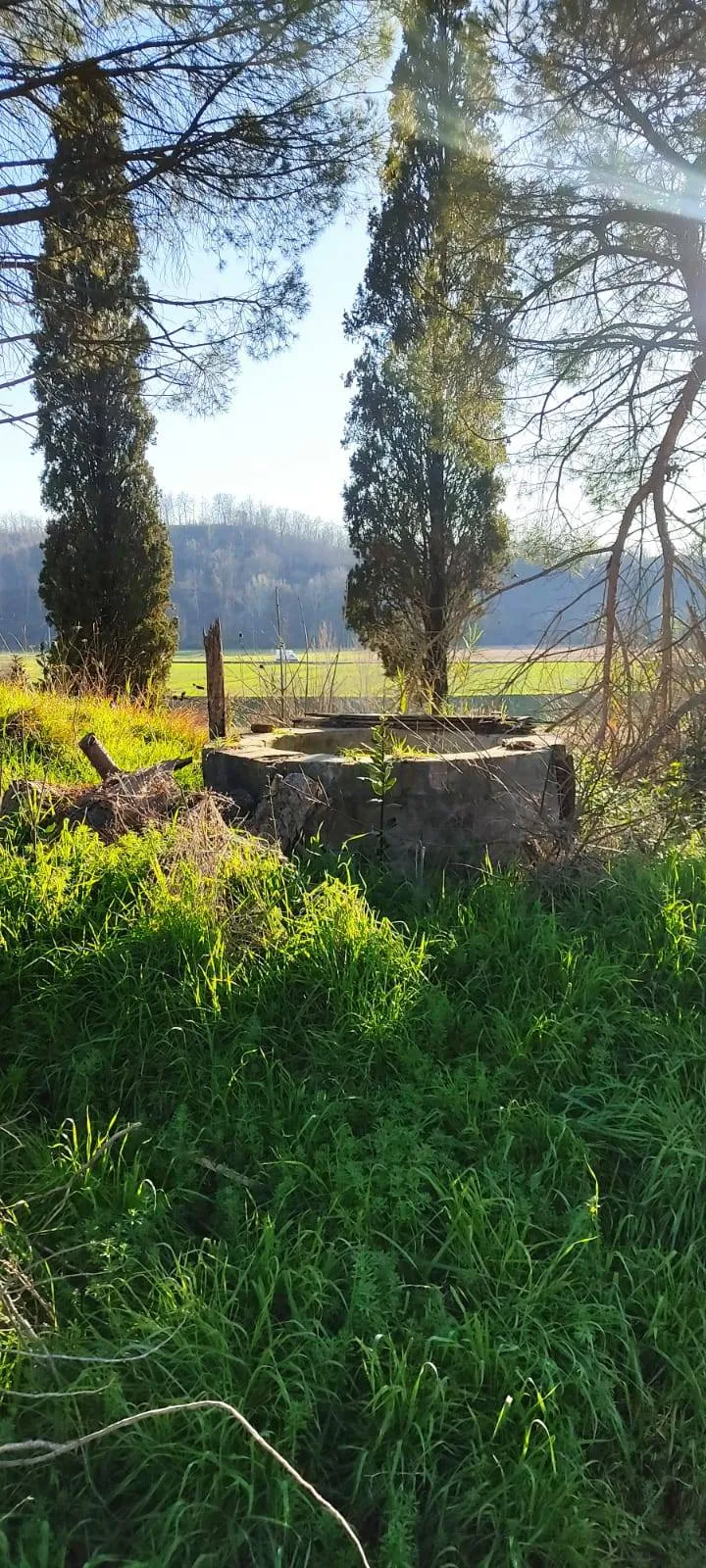 Appartamento in vendita a Fauglia - foto 3