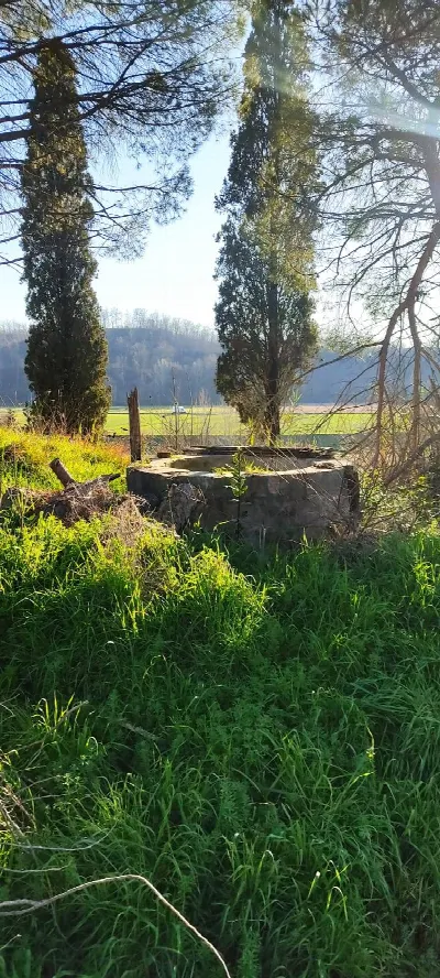 Appartamento in vendita a Fauglia - foto 3