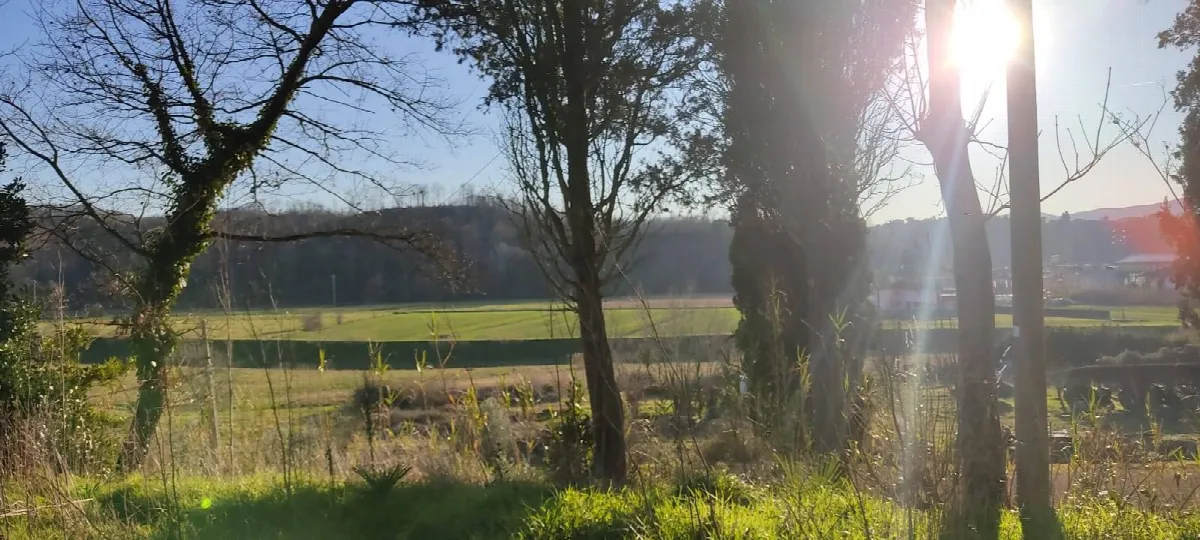Appartamento in vendita a Fauglia - foto 5