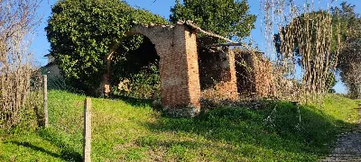 Appartamento in vendita a Fauglia - foto 6