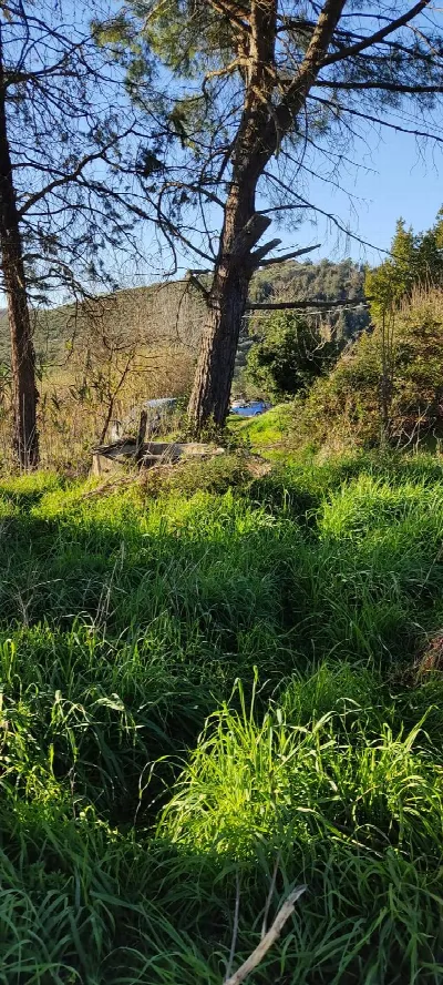 Appartamento in vendita a Fauglia - foto 7