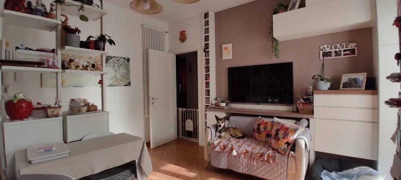 Appartamento in vendita a Collesalvetti - foto 1