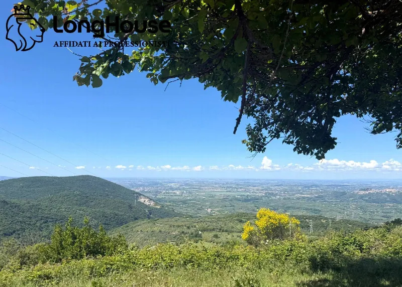 Appartamento in vendita a San Polo dei Cavalieri - foto 1