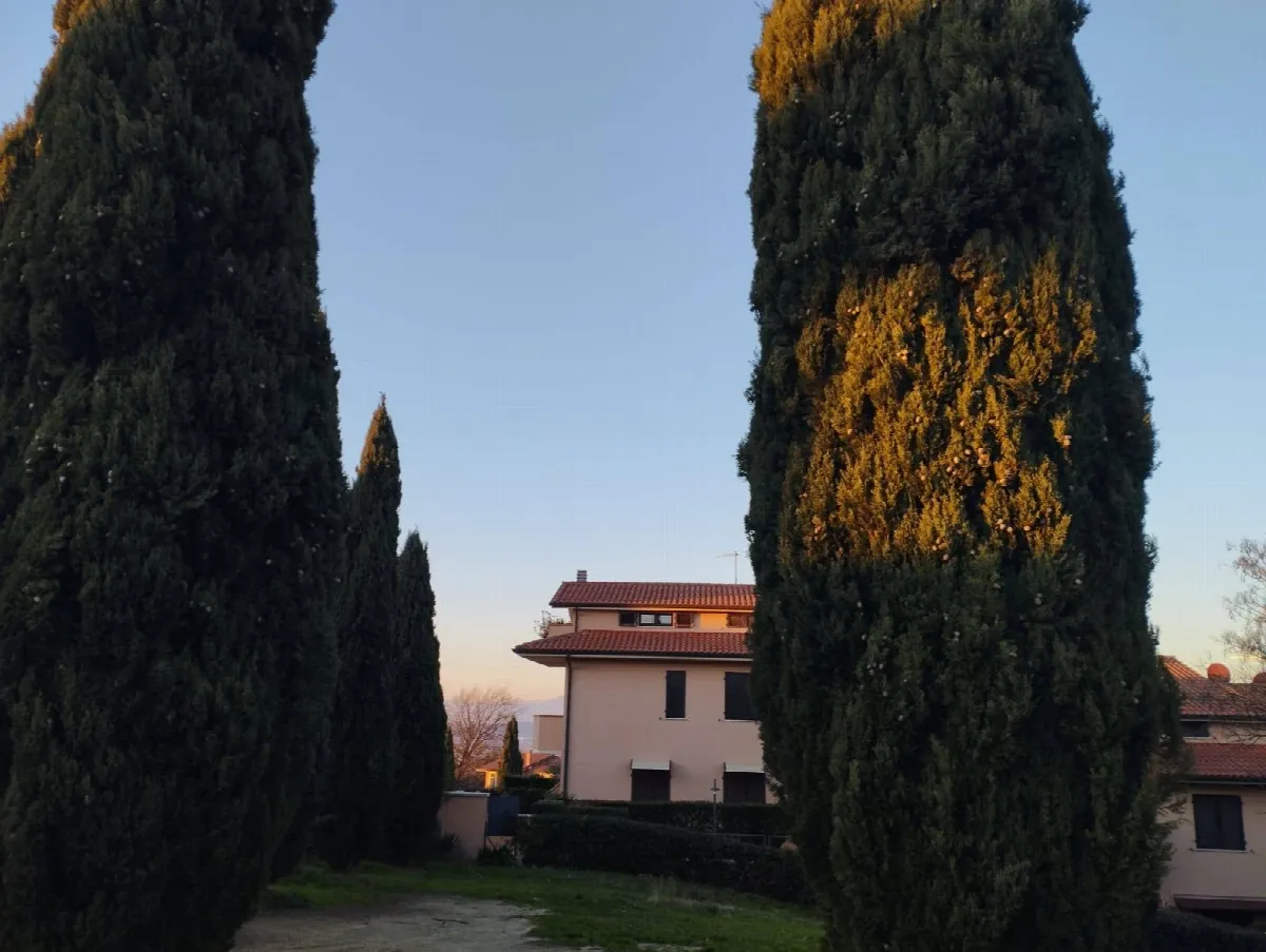 Appartamento in vendita a Montopoli in Val d'Arno - foto 2