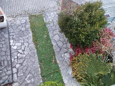 Appartamento in vendita a Montopoli in Val... - foto 3