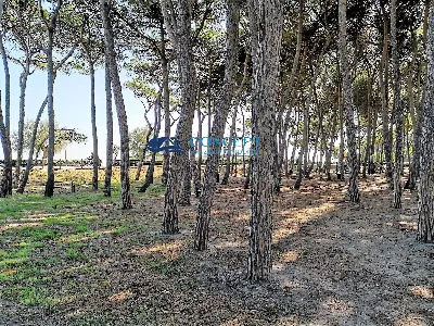 Appartamento in vendita a Alba Adriatica - foto 7