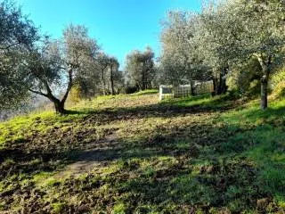 Appartamento in vendita a Montopoli in Val... - foto 10