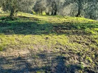 Appartamento in vendita a Montopoli in Val... - foto 7