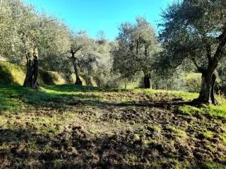 Appartamento in vendita a Montopoli in Val... - foto 9