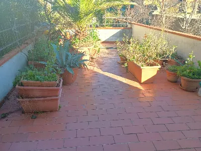 Appartamento in vendita a Calci - foto 10