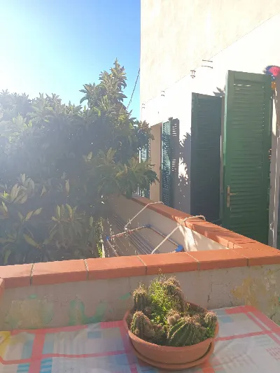 Appartamento in vendita a Calci - foto 4