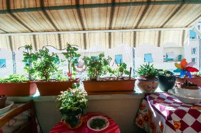 Appartamento in vendita a Livorno, Centro - foto 8