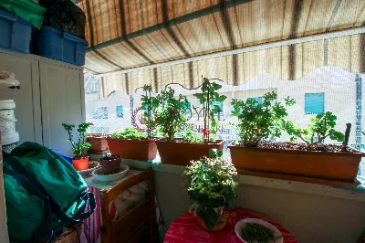 Appartamento in vendita a Livorno, Centro - foto 9