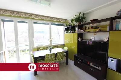 Appartamento in vendita a Castelraimondo - foto 5