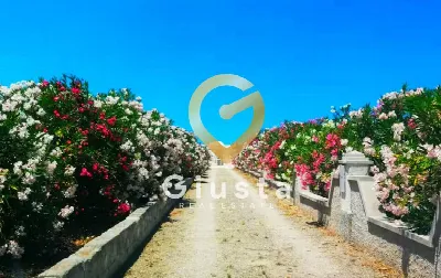 Appartamento in vendita a Ostuni - foto 3
