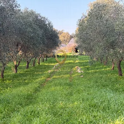 Appartamento in vendita a San Michele Sale... - foto 2