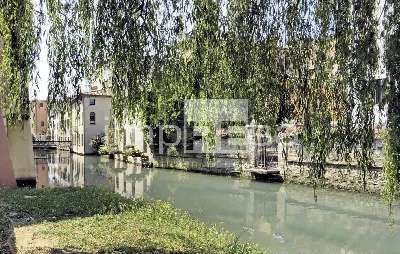 Appartamento in vendita a Treviso, Centro - foto 8