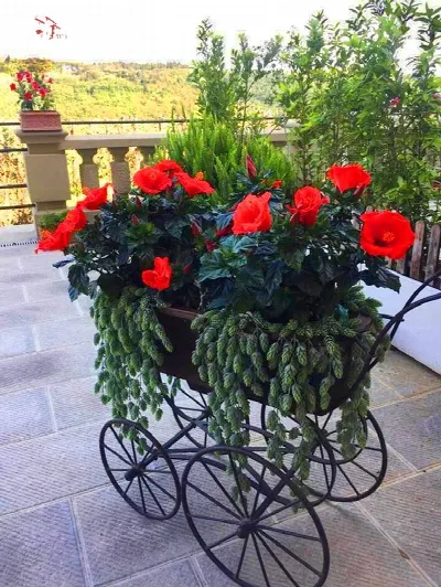 Appartamento in vendita a Firenze, Serpiol... - foto 6