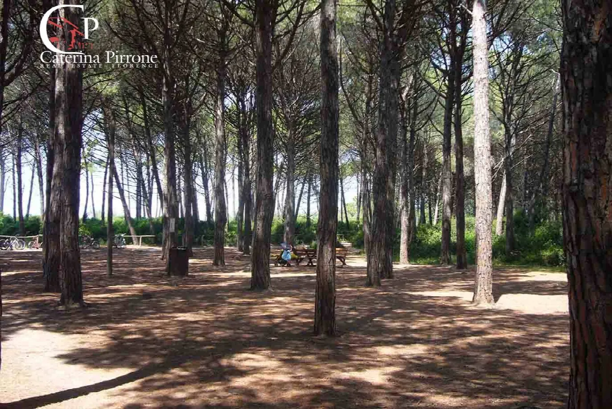 Appartamento in vendita a Rosignano Marittimo - foto 5