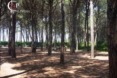 Appartamento in vendita a Rosignano Maritt... - foto 5