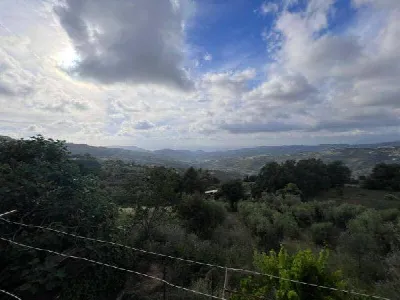 Appartamento in vendita a Laureana Cilento - foto 5