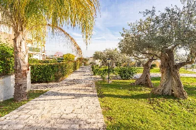 Appartamento in vendita a Vasto - foto 3