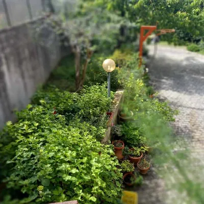 Appartamento in vendita a Pesaro - foto 9
