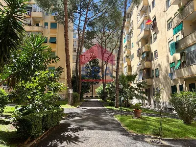 Appartamento in vendita a Roma, Appia pign... - foto 1