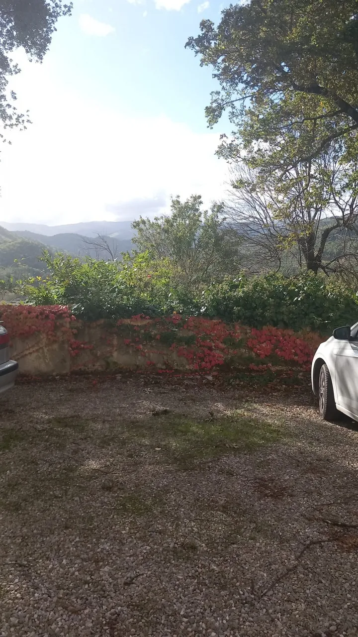 Appartamento in vendita a Castel San Niccolò - foto 2