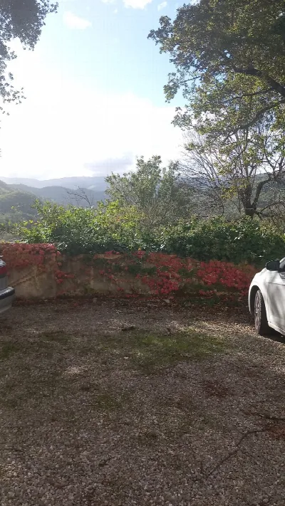 Appartamento in vendita a Castel San Nicco... - foto 2