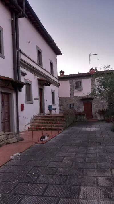 Appartamento in vendita a Ortignano Raggio... - foto 1