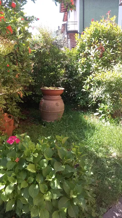 Appartamento in vendita a Bibbiena - foto 2