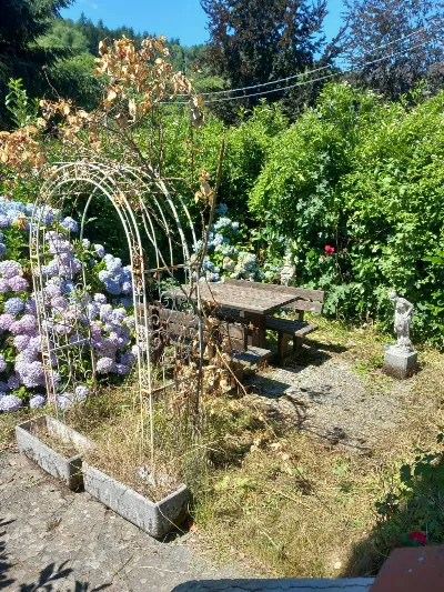 Appartamento in vendita a Montemignaio - foto 9