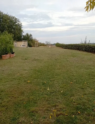 Appartamento in vendita a Ripatransone - foto 7
