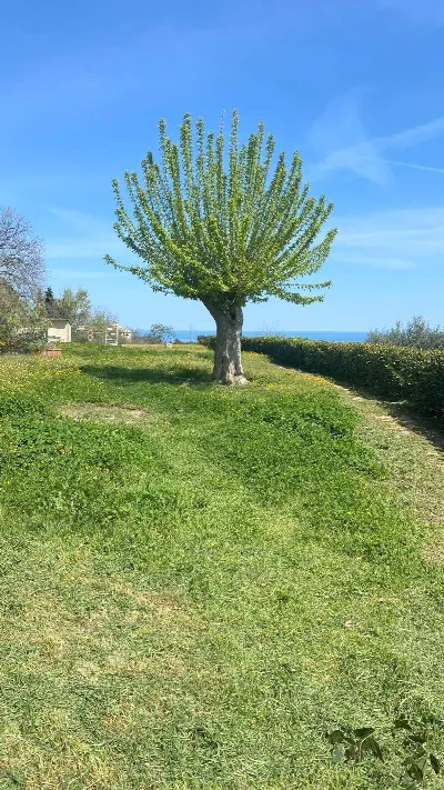 Appartamento in vendita a Ripatransone - foto 8