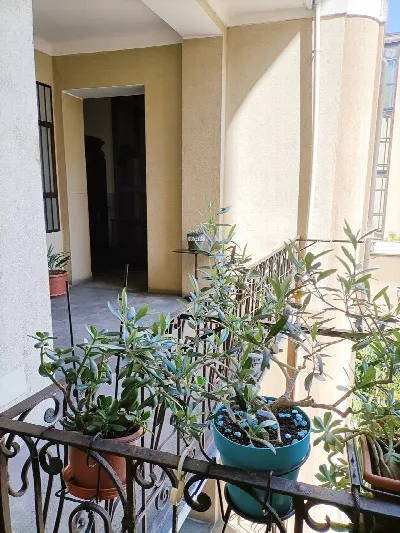 Appartamento in vendita a Milano - foto 5
