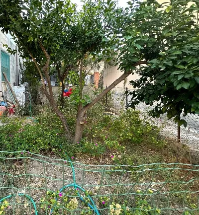 Appartamento in vendita a San Vito - foto 10