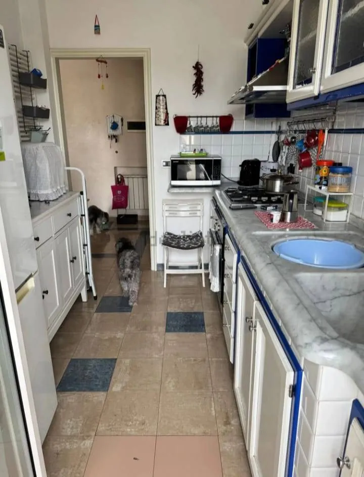 Attico in vendita a Viareggio - foto 4