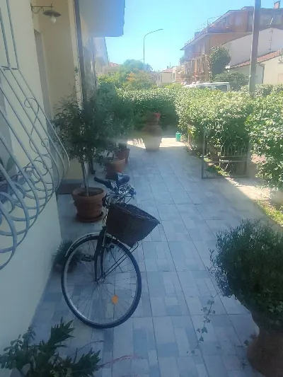 Appartamento in vendita a Viareggio - foto 3