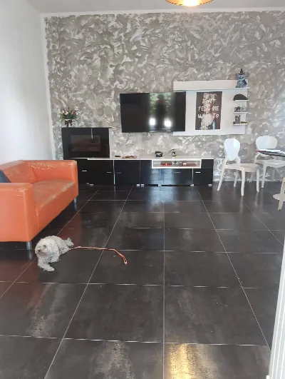 Appartamento in vendita a Viareggio - foto 1