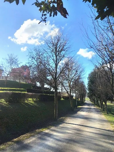Appartamento in vendita a Arezzo, San zeno... - foto 5