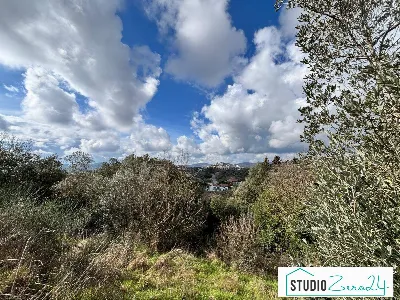 Appartamento in vendita a Amelia - foto 3