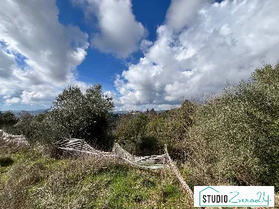 Appartamento in vendita a Amelia - foto 4