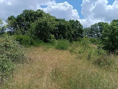 Appartamento in vendita a Celleno - foto 6