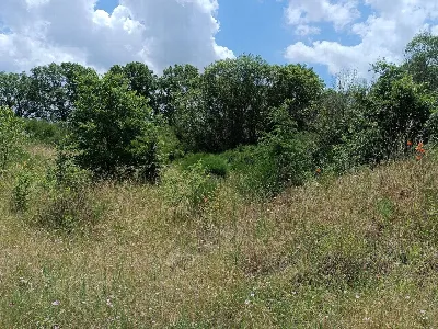 Appartamento in vendita a Celleno - foto 7